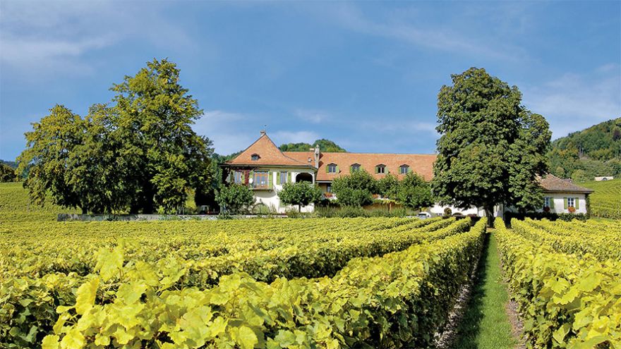 Schenk Italian Wineries