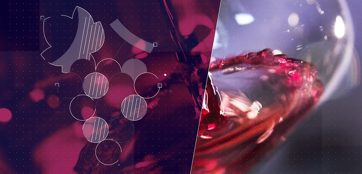 EOS WineSuite, la soluzione completa per la gestione delle aziende del settore vitivinicolo