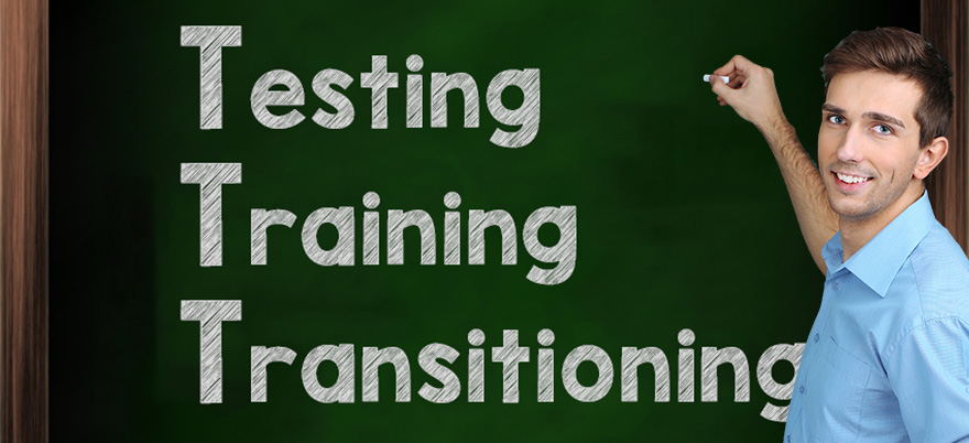 Progetti ERP di successo: testing, training, transitioning