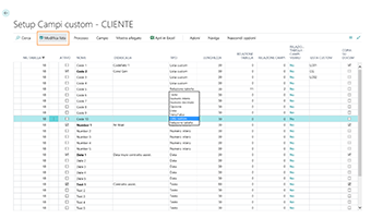 Custom Defined Fields for Business Central: app features